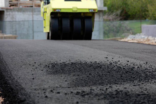 Best Residential Paver Driveway  in Victoria, TX
